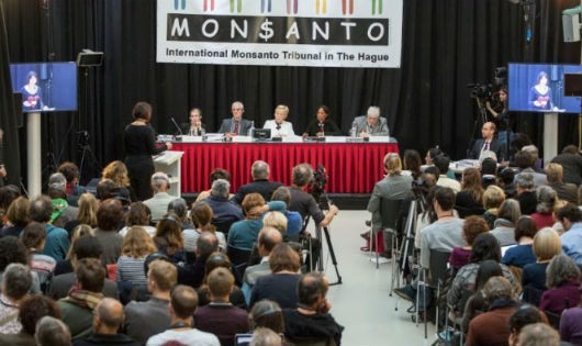 Tòa án quốc tế về Monsanto tại La Haye (Hà Lan) mở phiên tòa vào tháng 10/2016. Ảnh: Greenpeace/Tuổi trẻ