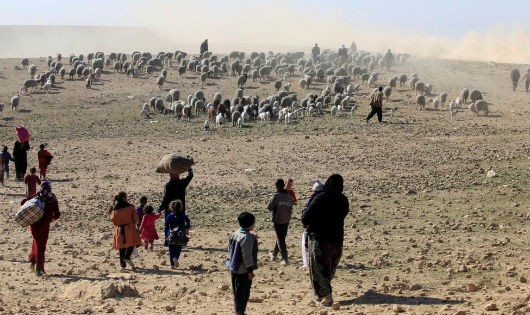 Tây Mosul đối mặt khủng hoảng nhân đạo