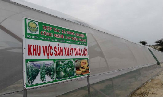 Nông nghiệp công nghệ cao ở Quảng Bình: Tín hiệu vui từ mô hình điểm ở huyện Lệ Thủy