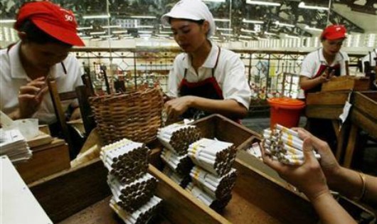 Nữ công nhân sản xuất thuốc lá điếu ở Surabaya, Indonesia