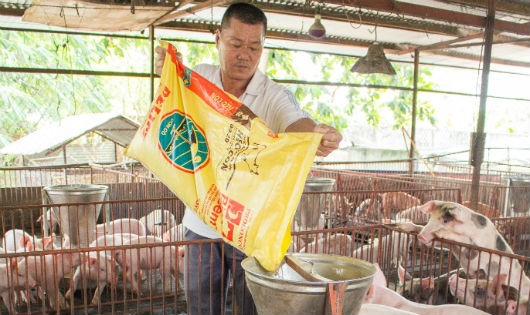 Năm 2017, KKR đầu tư vào Masan 250 triệu USD để Tập đoàn này phát triển ngành hàng thịt và các sản phẩm từ thịt