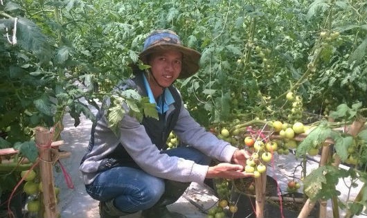 Anh Nguyễn Định – chàng kỹ sư trẻ với mô hình nông nghiệp công nghệ cao của mình