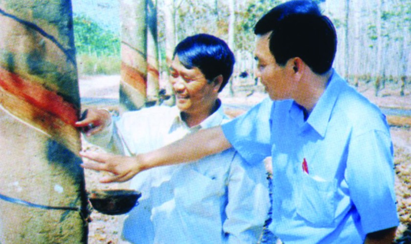 Nguyễn Hữu Lợi ( bên trái)  hướng dẫn kỹ thuật khai thác mủ cao su