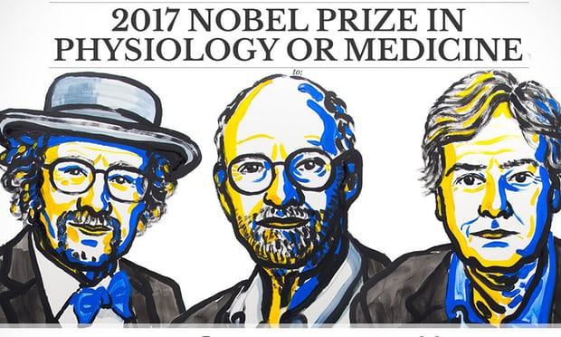 Phác thảo chân dung các nhà khoa học được trao giải Nobel Y học 2017