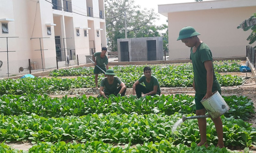 Cán bộ, chiến sĩ Đồn Biên phòng CKQT Sông Tiền trồng rau xanh trong khu tăng gia tập trung