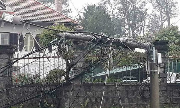 Mưa lớn, gió mạnh quật ngã cây cột điện ở TP Đà Lạt