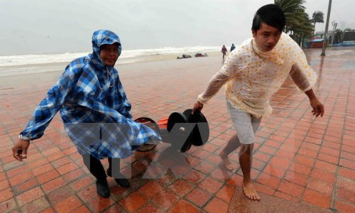 Người dân thu dọn các vật dụng bị gió quật gây hư hỏng tại Công viên biển Đông (Đà Nẵng). (Ảnh: Trần Lê Lâm/TTXVN)