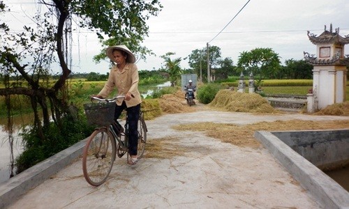Năm 2015, huyện Hải Hậu đã được Thủ tướng Chính phủ công nhận huyện nông thôn mới với 100 % số xã đạt 19 tiêu chí nông thôn mới