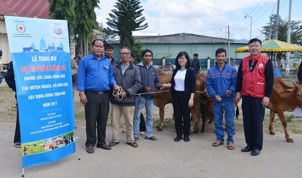 Đại diện Công ty Sữa Cô Gái Hà Lan trao tặng bò cho nông dân tại buổi Lễ