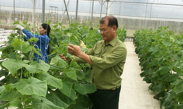 Ông Phạm Tiến Sinh và mô hình trồng dưa trong nhà kính ứng dụng công nghệ cao của Isarel