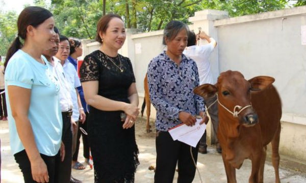 Chị Tạ Thị Hoa ( đứng giữa) trao tặng bò cho gia đình nghèo ở thị xã Phú Thọ