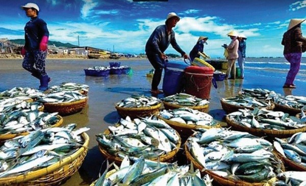 Liệu Việt Nam có thoát khỏi tình trạng “thẻ vàng” mà Ủy ban Châu Âu (EC) đang áp dụng đối với hoạt động khai thác thủy sản khi thời hạn sắp kết thúc?Ảnh minh họa