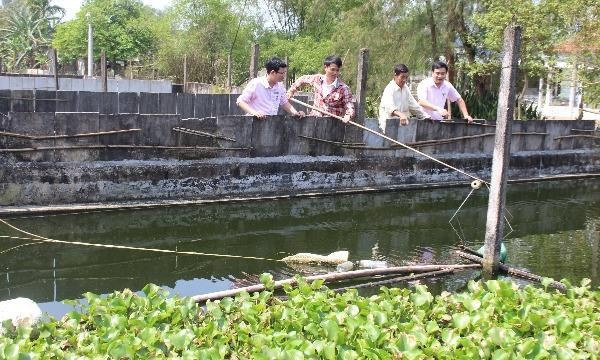 Cán bộ NHCSXH huyện thăm mô hình nuôi cá Chình của bà Nguyễn Thị Lang (xã Vinh Mỹ, huyện Phú Lộc, TT-Huế)