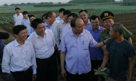 Thủ tướng Nguyễn Xuân Phúc kiểm tra tình hình sản xuất, trao đổi với nông dân tại khu sản xuất rau an toàn Văn Đức, Gia Lâm, Hà Nội