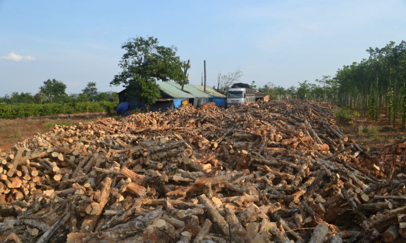 Khu vực lò than của hộ ông Lê Quang Vinh, ở thôn Hàm Rồng, xã Ia Băng, huyện Đak Đoa, tỉnh Gia Lai