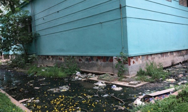 Nước vệ sinh ứ tràn ra Khu chung cư TĐC Đồng Tàu nhiều năm