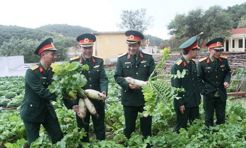 Lãnh đạo Quân khu 3 kiểm tra việc trồng rau xanh trên đảo Cô Tô tại Lữ đoàn 242