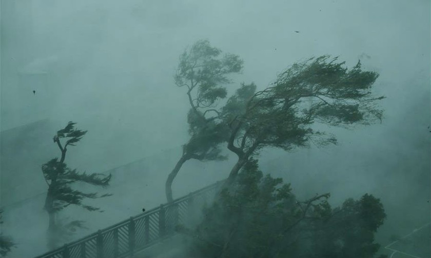 Gió giật mạnh do bão ở Hong Kong, phía nam Trung Quốc