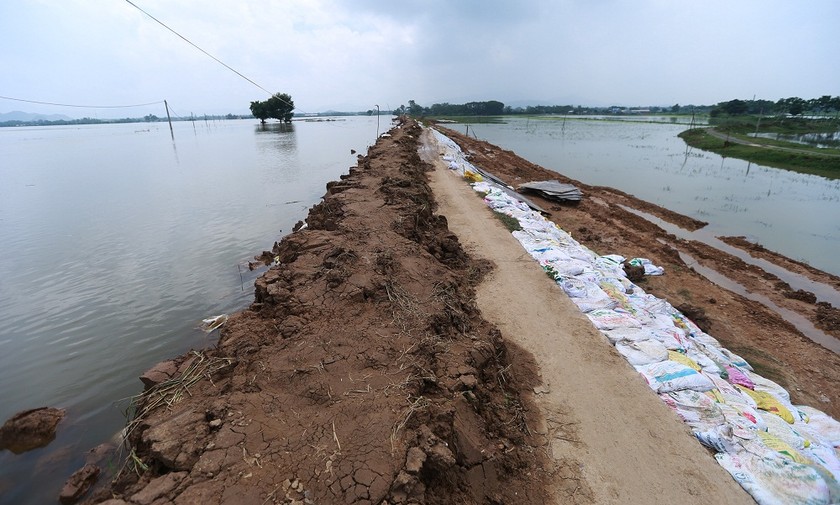 Gia cố đê sông Bùi trong đợt lũ lịch sử ở Hà Nội hồi tháng 7/2018