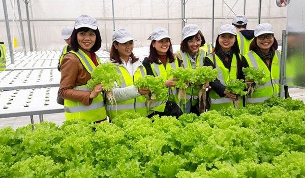 Delco Farm (Thuận Thành, Bắc Ninh) ứng dụng giải pháp Nông nghiệp thông minh của VNPT trong nuôi trồng sản phẩm chất lượng cao