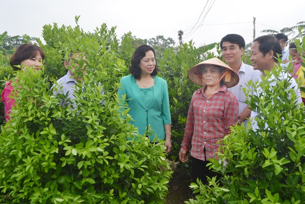 Kiểm tra mô hình nông thôn mới tại Hà Nội