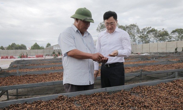 Tổng Giám đốc NHCSXH Dương Quyết Thắng (bên phải) thăm một số hộ gia đình, cơ sở sản xuất, chế biến cà phê trên địa bàn huyện Đắk Hà
