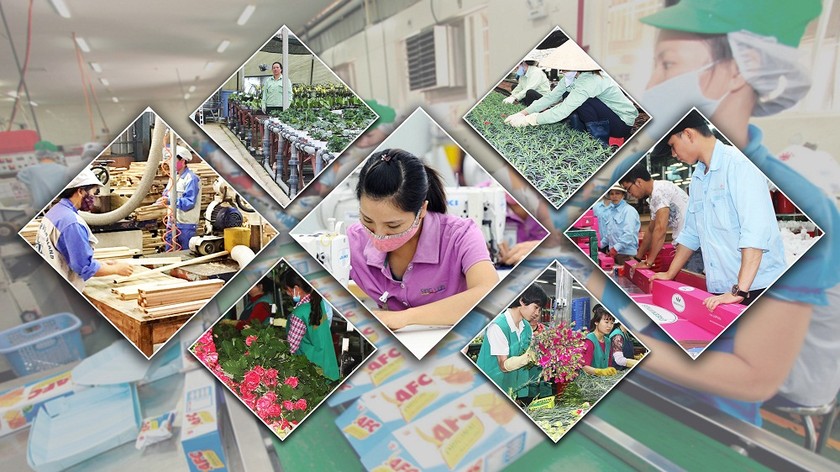 90% DN đánh giá triển vọng kinh tế Việt Nam ổn định và cải thiện trong thời gian tới