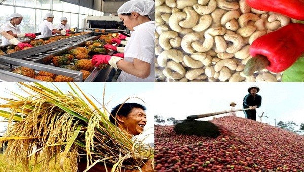 Nông nghiệp Việt Nam năm 2018 trở thành điểm sáng của nền kinh tế