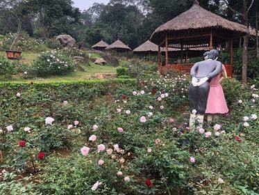 Du xuân ở vườn hồng lớn nhất Việt Nam