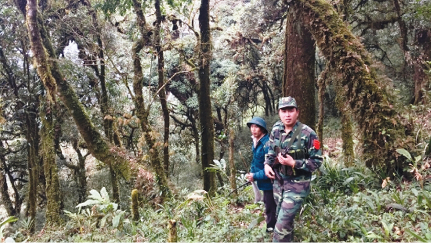 Thiếu úy Lư Văn Thuấn cùng anh Phàn Vần Lỷ giữa rừng chè cổ thụ xã Mồ Sì San. Ảnh: Kim Nhượng