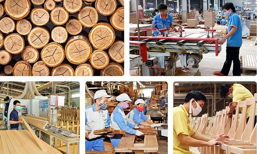 Công bố báo cáo thường niên ngành công nghiệp gỗ Việt Nam