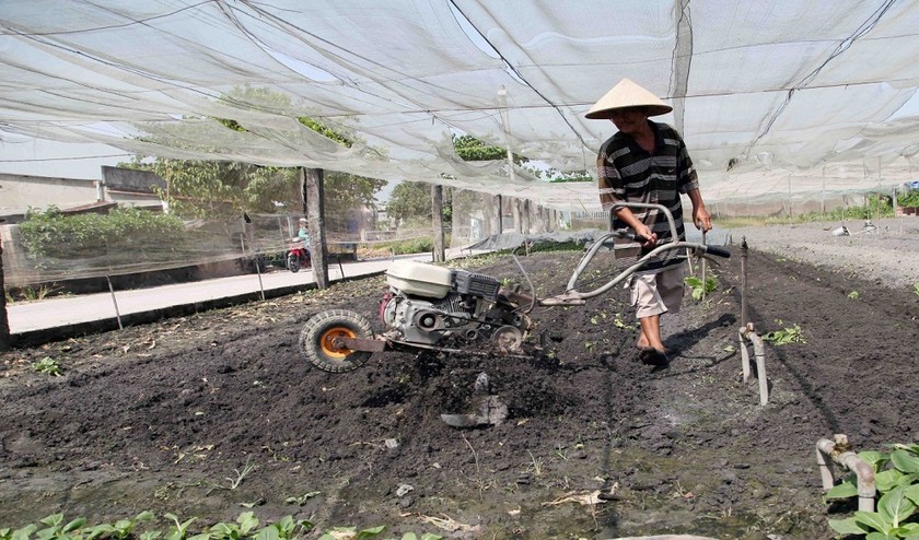 Nhờ vốn vay ưu đãi, gia đình anh Nguyễn  Văn Thắng (phường Trảng Dài, TP Biên Hòa, Đồng Nai) có điều kiện mua máy móc làm 4000m2 nhà lưới trồng rau cho hiệu quả kinh tế