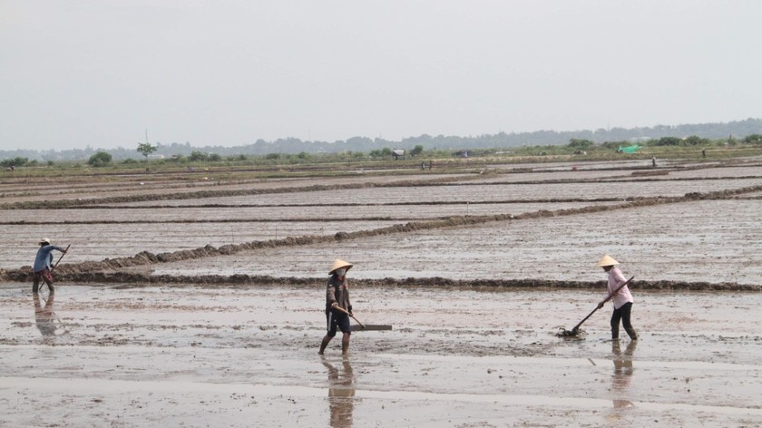 Thừa Thiên - Huế: Nắng hạn kéo dài ảnh hưởng đến sản xuất nông nghiệp