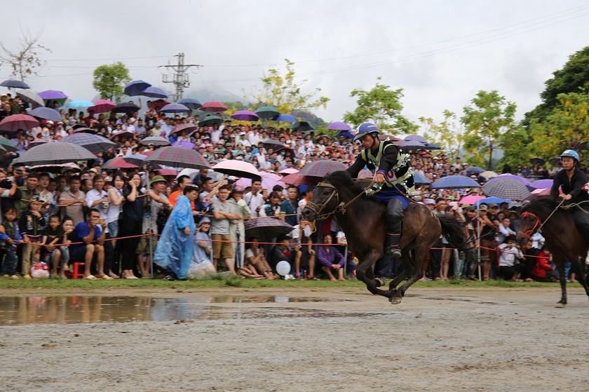 "Vó ngựa trên mây" - giải đua ngựa lần đầu tiên được tổ chức tại Fansipan