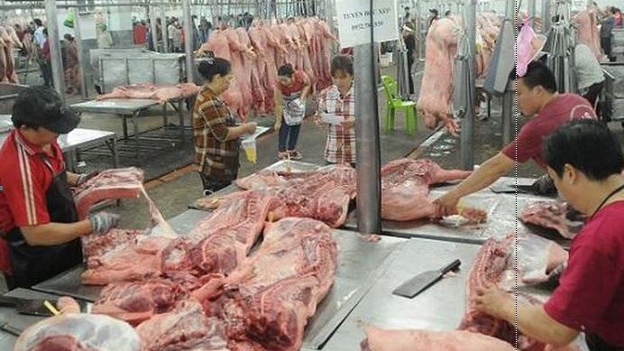 Theo dự báo, thị trường trong nước có nguy cơ thiếu 200 ngàn tấn thịt lợn vào cuối năm 2019.  Ảnh minh họa: IT