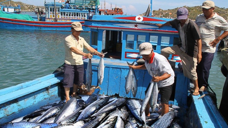 EC tiếp tục duy trì “thẻ vàng” đối với thủy sản Việt Nam đến tháng 6/2020