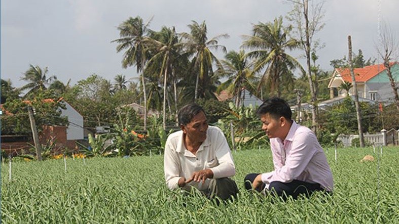 Ông Dương Văn Nhiều (xã An Hải, huyện Lý Sơn, Quảng Ngãi) chia sẻ về mô hình trồng tỏi với cán bộ ngân hàng