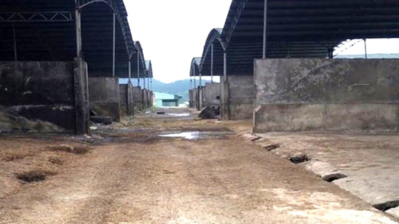 Dự án chăn nuôi bò Bình Hà là “cú sốc” cho câu chuyện thu hút đầu tư vào Hà Tĩnh