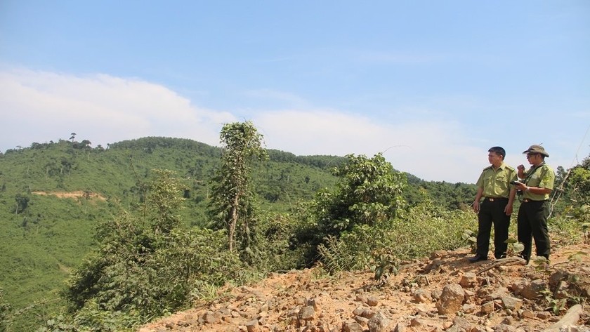Việc phá rừng, lấn chiếm rừng làm giảm đáng kể diện tích rừng tự nhiên
