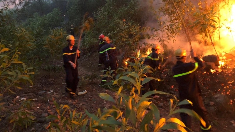 Lực lượng công an cùng các lực lượng khác tham gia chữa cháy rừng tại Nghệ An