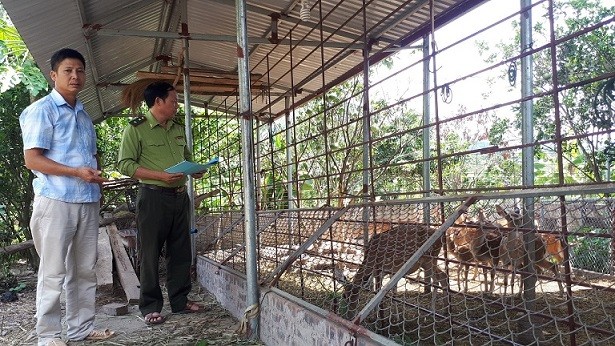 Lực lượng chức năng kiểm tra, hướng dẫn cơ sở gây nuôi Hươu sao ở Lục Ngạn, Bắc Giang.