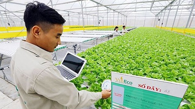 Phát triển nền nông nghiệp công nghệ cao đang là định hướng của ngành nông nghiệp.