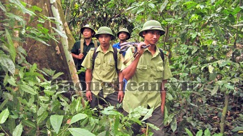 Lực lượng Kiểm lâm và Bộ đội Biên phòng tuần tra bảo vệ Vườn quốc gia Pù Mát. Ảnh: Văn Trường/Báo Nghệ An