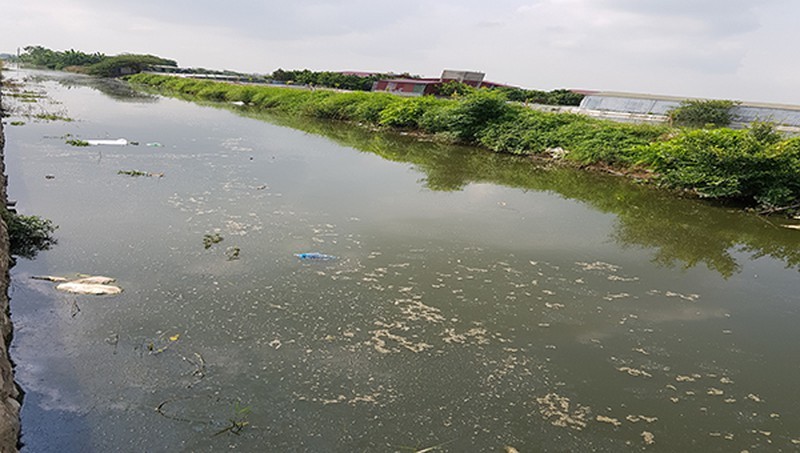 Theo ông Phạm Văn Nho thì đoạn kênh nước này bị ô nhiễm từ đoạn chưa chảy qua vị trí có trại nuôi lợn