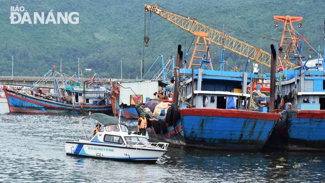 Lực lượng Bộ đội Biên phòng nhắc nhở các ngư dân chằng chống, neo đậu tàu cá an toàn tại âu thuyền Thọ Quang. (ảnh Báo Đà Nẵng)
