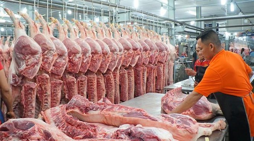 Năm nay, sản lượng thịt lợn hơi dự kiến tăng 3,9% so với năm 2019.