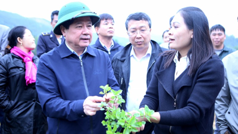 Thứ trưởng Bộ NN&PTNT Lê Quốc Doanh thăm vùng sản xuất thạch đen tập trung tại xã Tân Tiến, huyện Tràng Định, tỉnh Lạng Sơn.