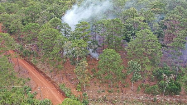 Người dân vẫn đốt rừng khi quyết định thu hồi của UBND huyện Bảo Lâm đã ban hành.