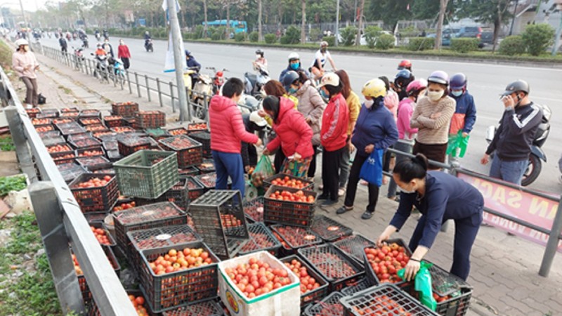 Điểm bán nông sản Hải Dương ở 38 Giải Phóng - Hà Nội.