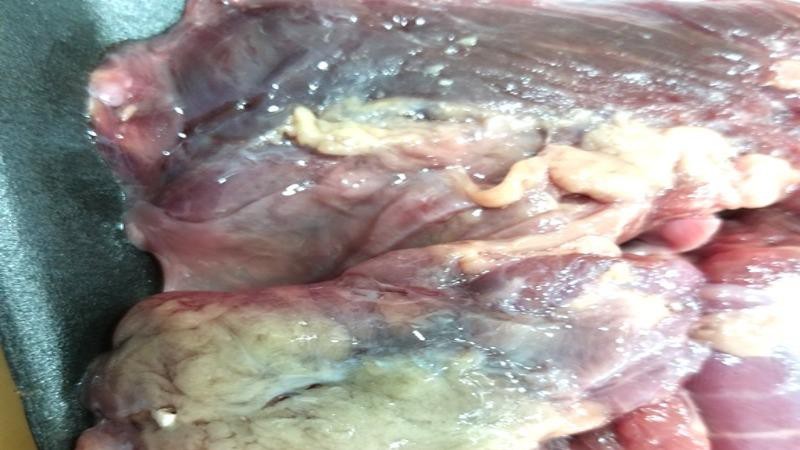 Miếng thịt bị đổi màu, bốc mùi hôi thối mua vào chiều 18/2/2021 tại Aeon Bình Tân. 